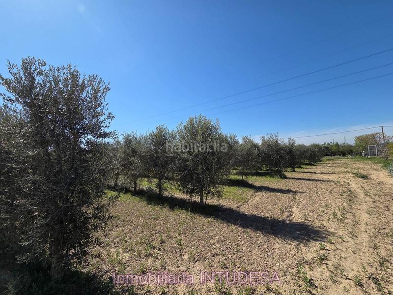 Foto f8928f1f-3e18-4126-8031-ec286d20bfac. Finca rústica a Lourdes Tudela