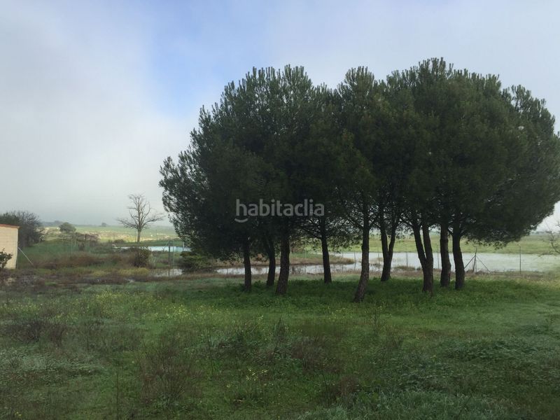 Foto ef92fd2f-f0bd-46f3-9f88-1a3712f3d7a0. Edifici a Estación Arroyo Malpartida Cáceres