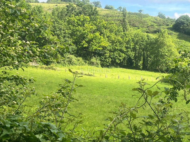 Foto 9e76f6d0-3aeb-415f-9e2b-5d552bda60c7. Finca rústica a Beintza - Labaien