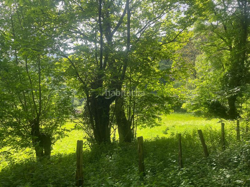 Foto e2f3ce9e-8acb-44b3-9f29-ccd575ec2070. Finca rústica a Beintza - Labaien