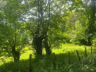 Finca rústica  Udaletxeko karrika