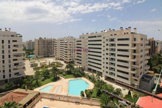 Alquiler Piso  Calle musico vicente spiteri. Vive en pau 5 se alquila apartaestudio con dormitorio independie