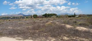 Finca rústica a Polígono 16 parcela 41 la ca¥ada. alicante/alaca 16. Terreno a la venta en la cañada de fenollar
