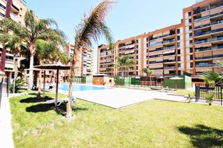 Planta baixa en Avenida avenida mdico ricardo ferr 42. Vivienda de ensueo en el pau i