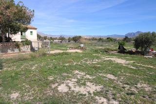 Mas à Calle calle ponent 70. Parcela rústica con vivienda para reformar en mutxamel  más de 1