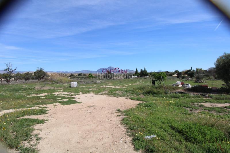 Foto b9f09b01-c9aa-4e07-94f9-bfa882189dfc. Mas dans calle calle ponent 70 dans La Huerta Mutxamel