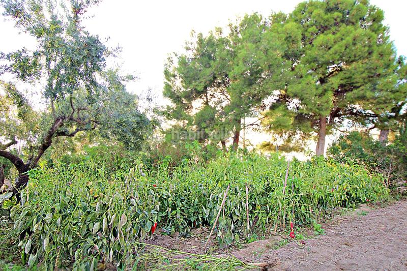 Foto 38c5cbcc-304d-4894-999c-cb799899b094. Casa in i pd 4 1090 in Castalla