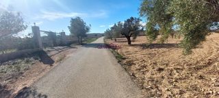 Finca rústica en Calle hondón de los frailes 2. Vive el campo cerca del pueblo finca rústica con opción de const