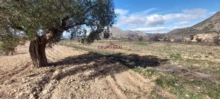 Finca rústica a Calle Hondón de los Frailes 2