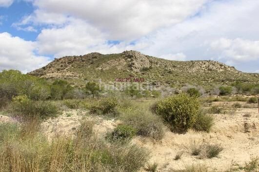 Foto b5b26194-a78a-4fe7-8e07-6f7a5581e738. Finca rústica a Rebolledo Alicante