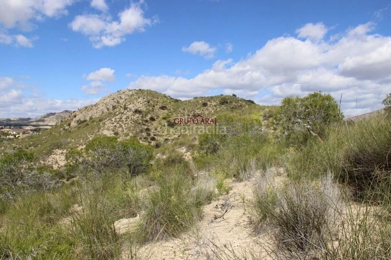 Foto bf9b275b-ffd3-4283-9b94-66b6b34c7b23. Finca rústica a Rebolledo Alicante