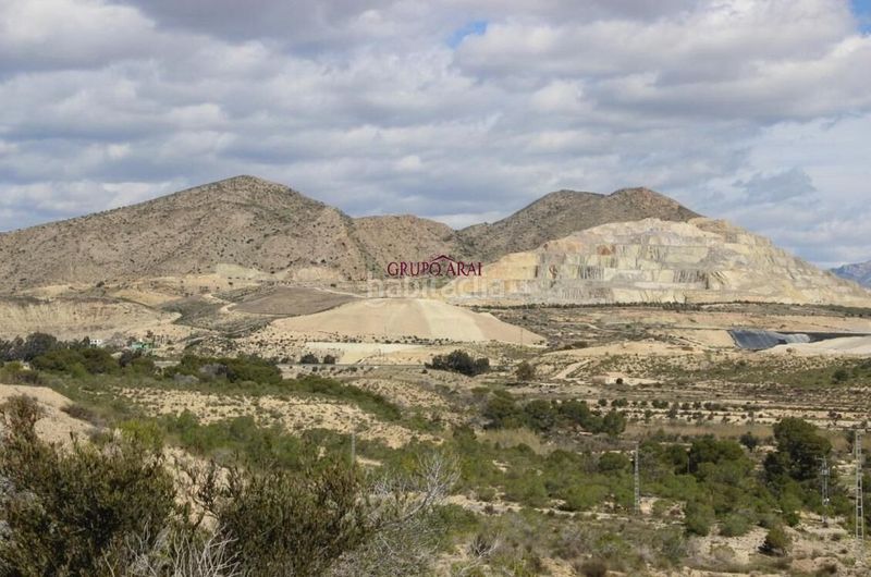 Foto d6991cf1-7f5c-4737-be86-fac4a93848a0. Finca rústica a Rebolledo Alicante