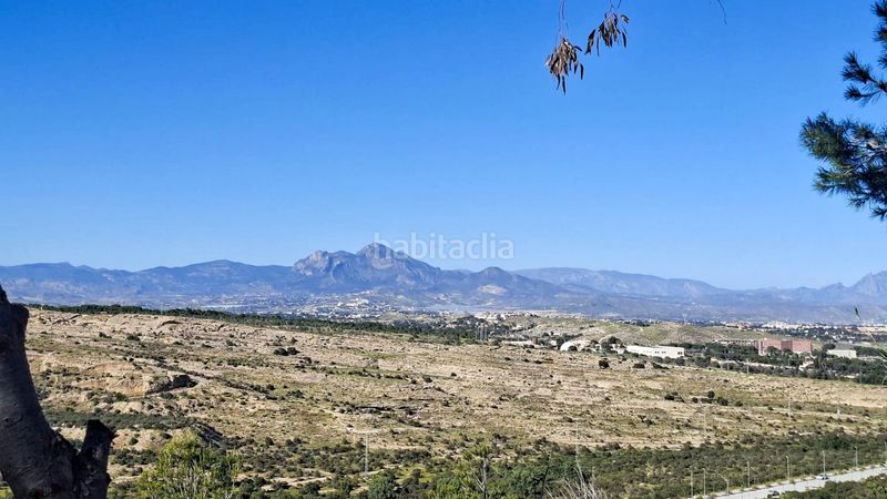 Foto c959624c-c6a9-4245-aa57-784d2e2a18ae. Pis a Juan XXIII Alicante