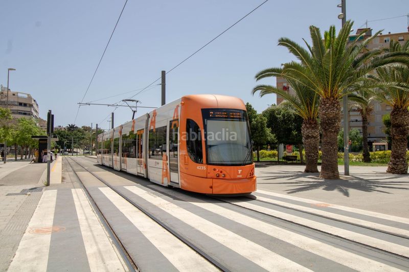 Foto a2b9f413-3293-409f-8384-482a7847ba60. Pis a Carolinas Bajas Alicante