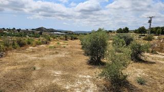 Terreny residencial  Calle altura-rebolledo. Se vende terreno urbano con vivienda en el rebolledo alicante