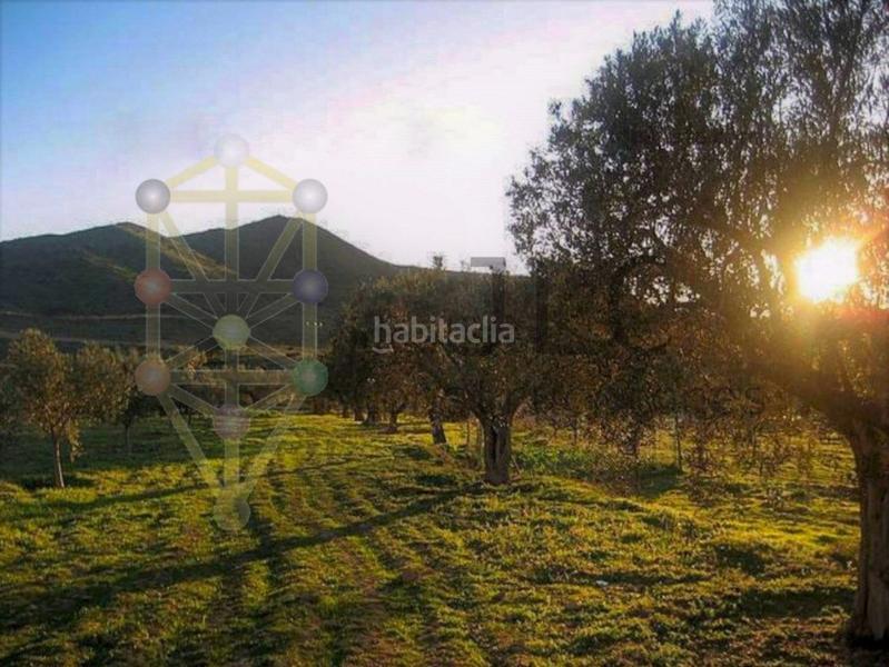 Foto 72ef6dd3-eb5f-4a41-bbc6-5ddcff42eb8e. Chalet dans La Pinilla - Las Palas Fuente Álamo de Murcia