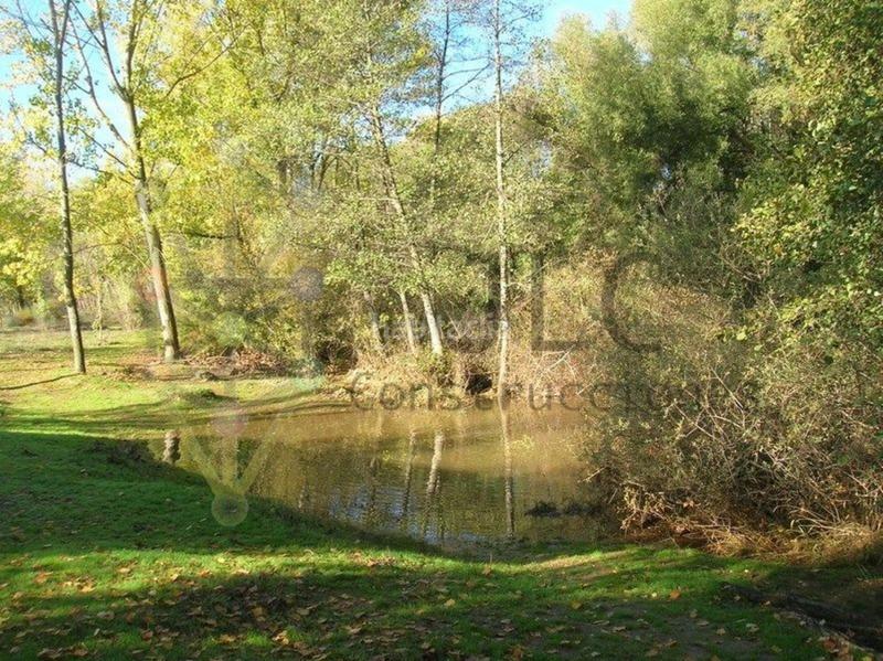 Foto fa3c715b-8989-4765-b0bf-31075642d900. Wohngrundstück in Talamanca de Jarama