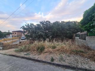 Terrain résidentiel  Calle del pino. Económica parcela en mesones a la venta.