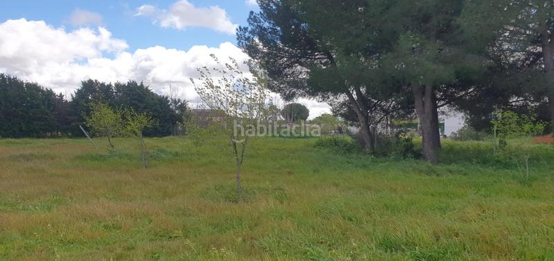 Foto 308ef9f2-ee26-4777-be89-5f8757265bfd. Wohngrundstück in Casar (El)