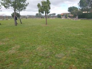 Terrain résidentiel à Casar (El). Preciosas parcelas en urbanizacion valdelosllanos  el casar