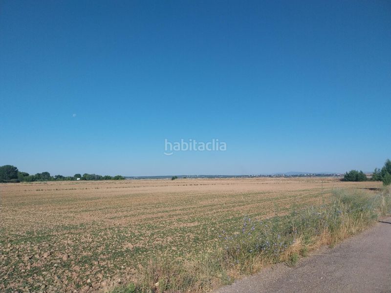 Foto 0d73baf4-3a1e-4654-94db-ab0b9da691fb. Terreny residencial a Fuente el Saz de Jarama