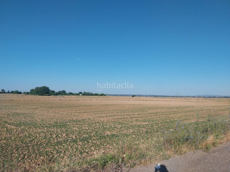 Foto c6907b70-1735-4cb7-87f5-d3c358d60d52. Terreny residencial a Fuente el Saz de Jarama