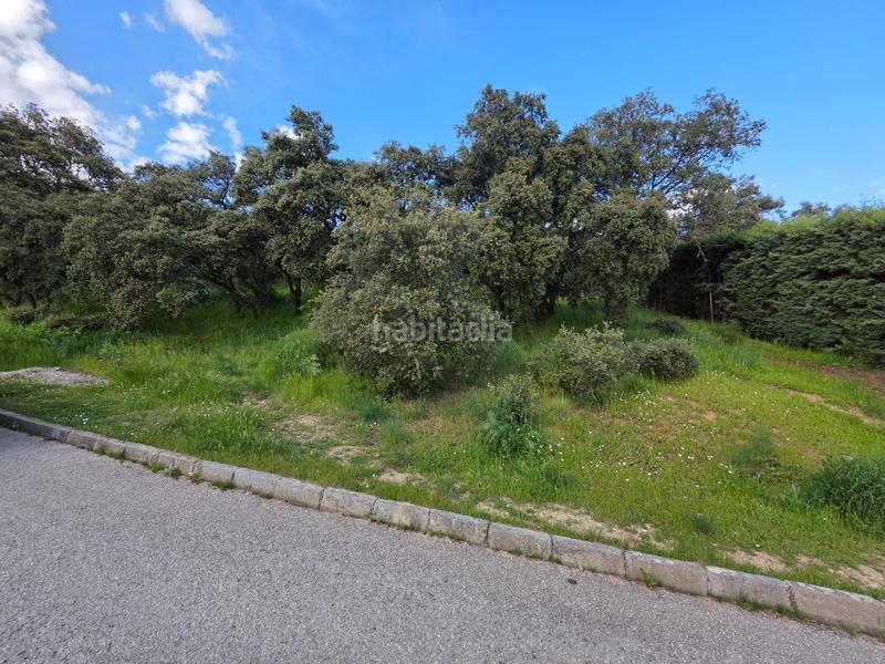 Foto 2426b897-b631-470d-90b3-632a31a5cda3. Terreny residencial a Casar (El)