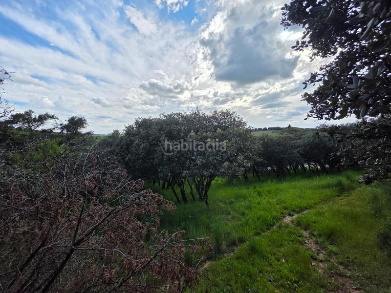 Foto 0af2f7a1-979c-4568-b644-9755eb4da5ea. Wohngrundstück in Casar (El)