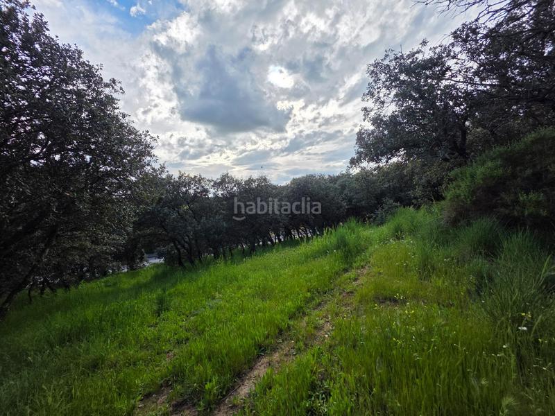 Foto 63b29da5-c64f-4aea-9d96-bd23ca041666. Wohngrundstück in Casar (El)