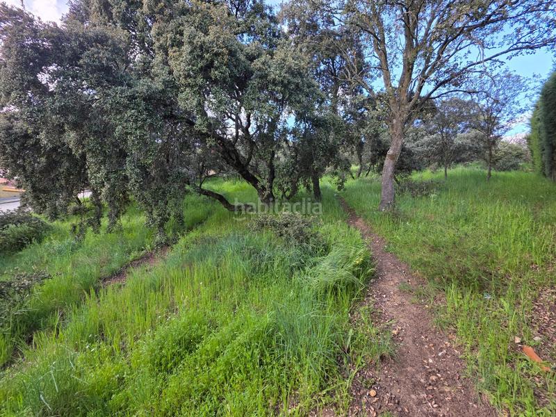 Foto d004c11f-c21b-4c7f-a9e2-7724f3aeaabe. Wohngrundstück in Casar (El)