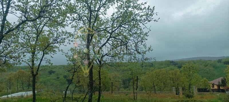 Foto 2c035412-3fae-4b7c-a04b-b0093d964cc9. Terreny residencial a Villavieja del Lozoya