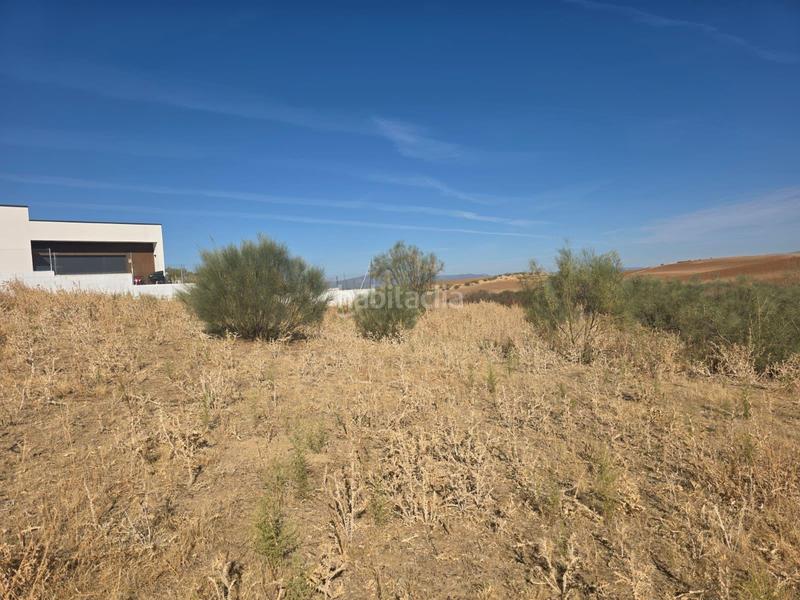 Foto 1434005d-d08c-4071-b830-255000420caa. Terreno residenziale in Casar (El)