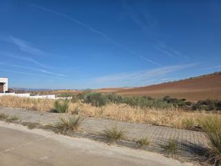 Terreny residencial a Casar (El). Preciosa parcela en los arenales