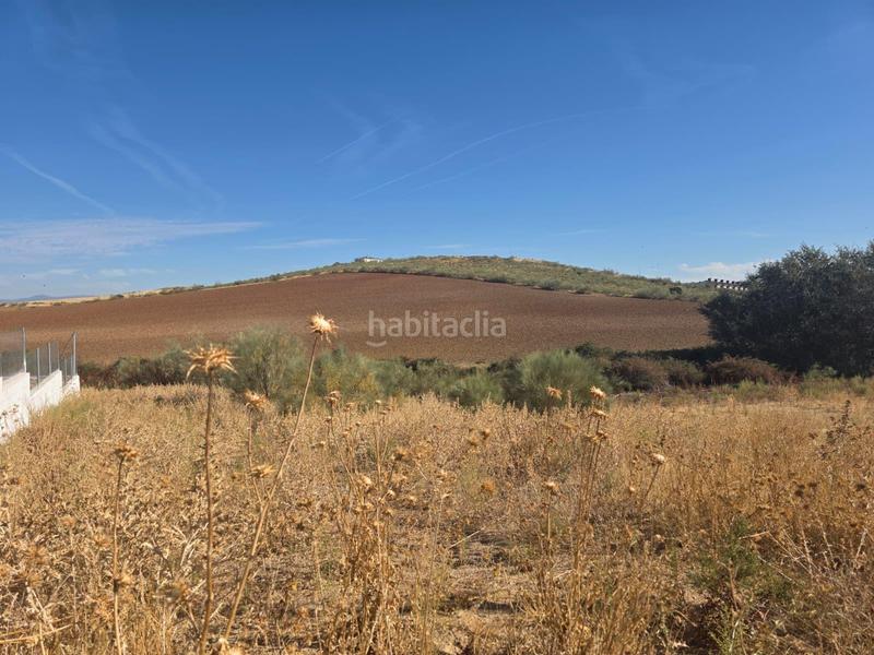 Foto bba4abb7-e822-40db-8dd3-1f87f1f30afb. Terreno residenziale in Casar (El)