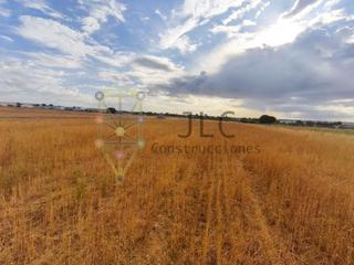 Finca rústica en Fuente el Saz de Jarama. Oportunidad de inversión en fuente el saz