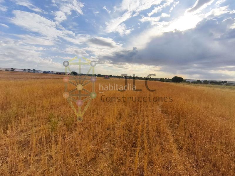 Foto 8e72eeb3-7da3-447a-9908-da48d4e1201a. Propriété dans Fuente el Saz de Jarama