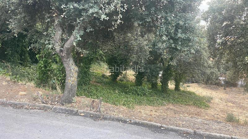 Foto 20b0205c-2b84-41e8-897a-edfea9917275. Terrain résidentiel dans Casar (El)