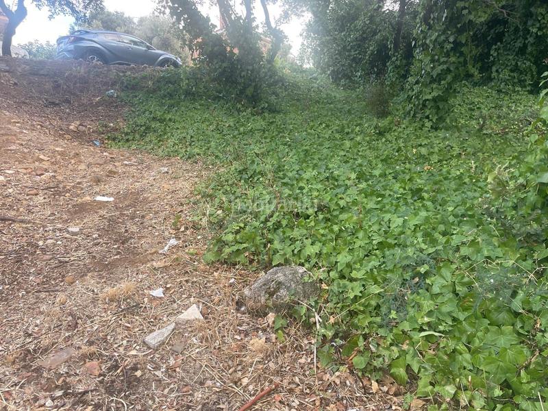 Foto 2162bac0-f9ae-4a5a-97b3-fdf6d4706c77. Terrain résidentiel dans Casar (El)