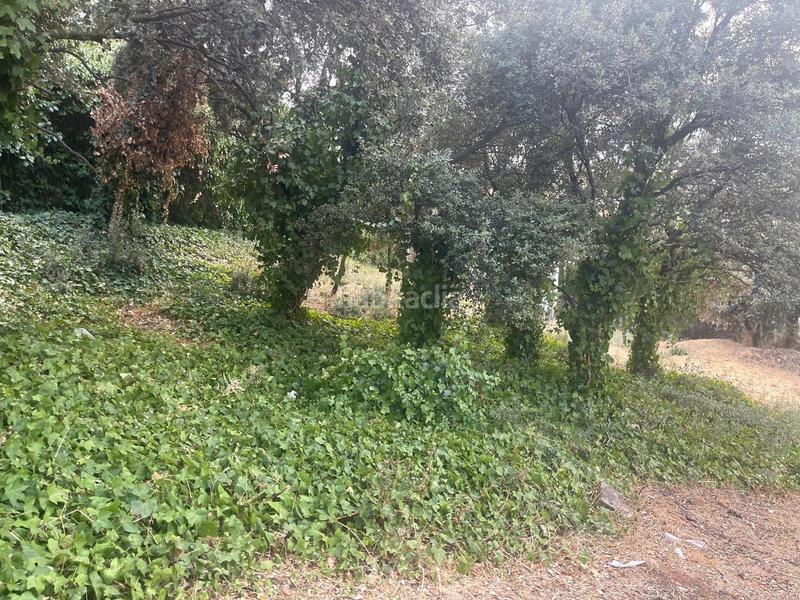 Foto fb3aa808-fa0e-468c-bcc1-2da1ec750127. Terreno residenziale in Casar (El)