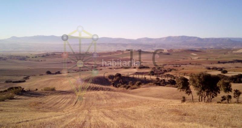 Foto c91e4226-7c69-405e-aedc-7e4c88dd9cf1. Terreno residenziale in Casar (El)