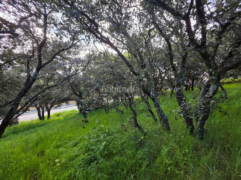 Foto 1ee2aedb-b6e8-444b-9fed-d6724922035d. Terreny residencial a Casar (El)