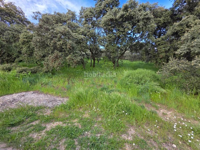 Foto 64651bc6-b0d3-46bd-8dfc-9467c3555b3a. Terreny residencial a Casar (El)