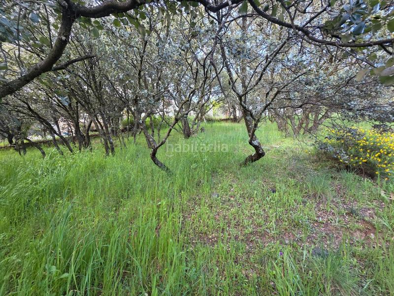 Foto b074a20c-839a-4c28-87ff-4020ab865953. Terreny residencial a Casar (El)