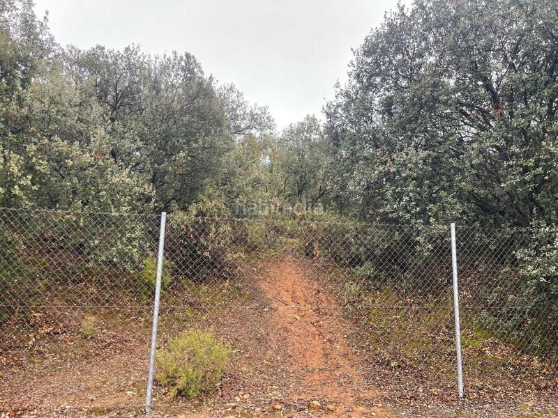 Foto 7168bac3-e1ed-48e6-a1b1-197ca9122026. Wohngrundstück in Valdeaveruelo