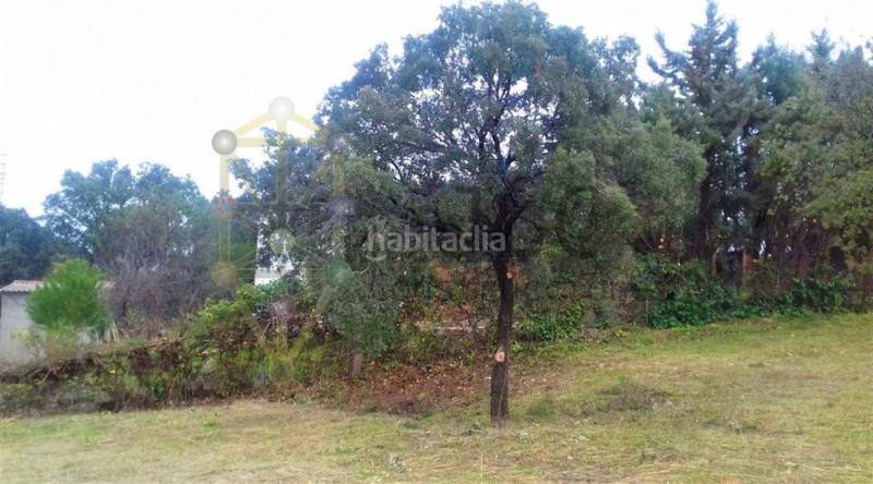 Foto 0652798b-4635-4289-8b92-f2bbf2067362. Landgut in Casar (El)