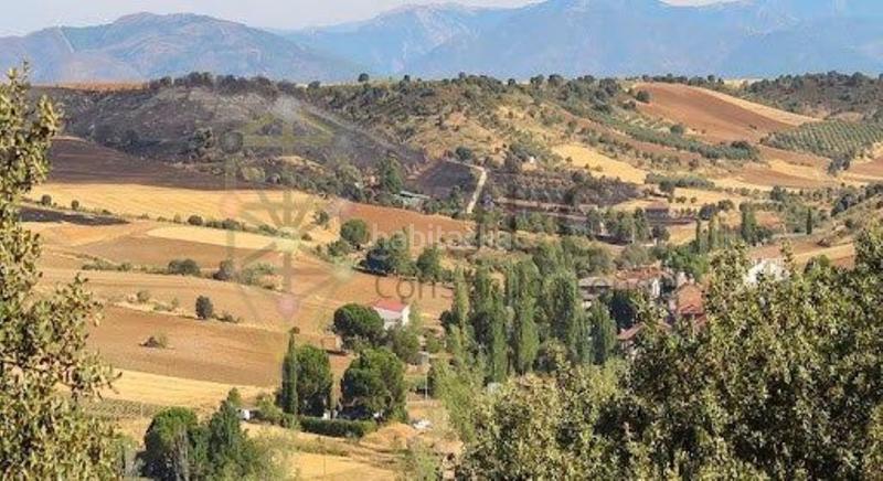 Foto 8cd71572-6247-4e22-8997-8ccf6ca13fb7. Landgut in Casar (El)