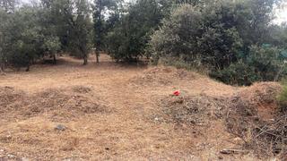 Terreny residencial a Calle del Pino