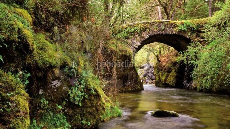 Foto 365b83c3-4157-40ff-b62f-f4ada23c57c4. Terreny residencial a Guadarrama