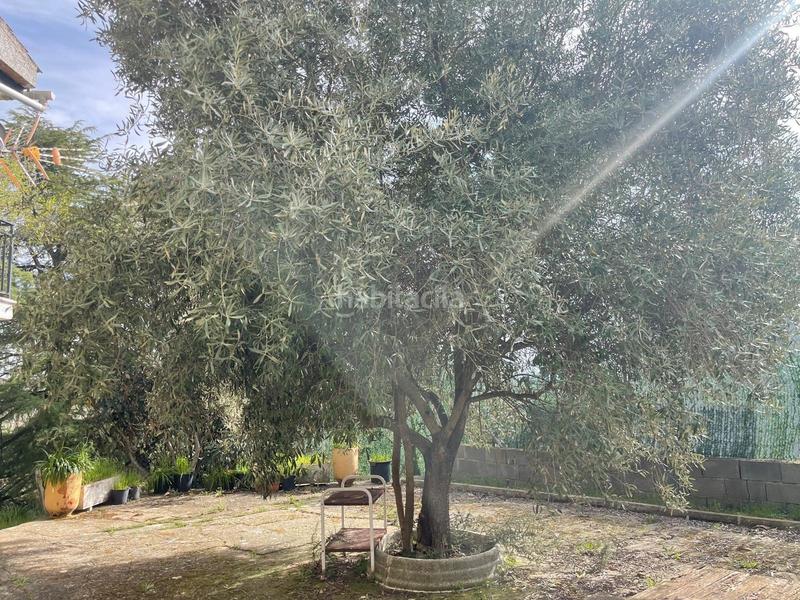 Foto 3dcb68bf-f922-49f1-a3dc-1198859d46ca. Xalet amb piscina a Casar (El)