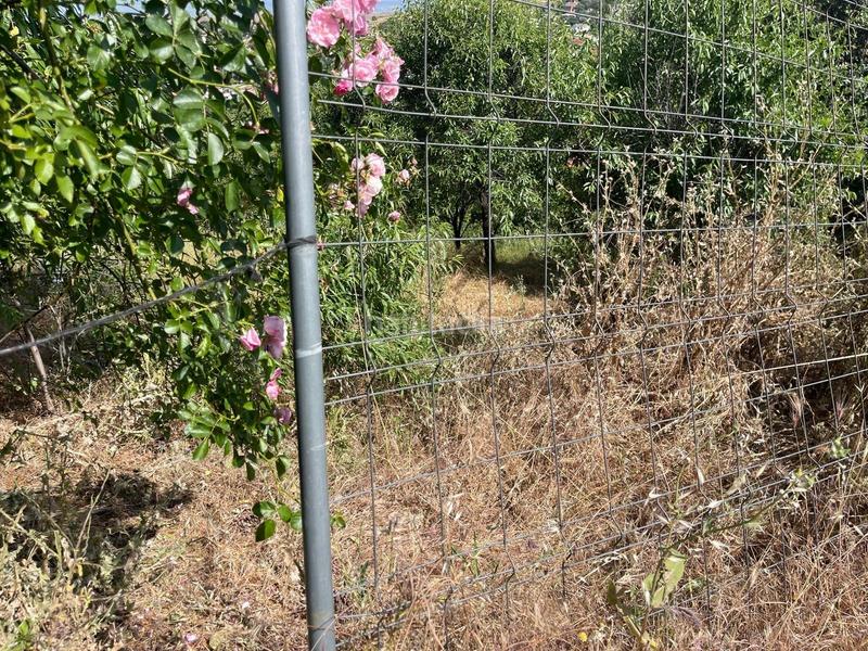 Foto 167ff88d-880e-4e85-bdfb-ef68cca42cbb. Terrain résidentiel dans Casar (El)